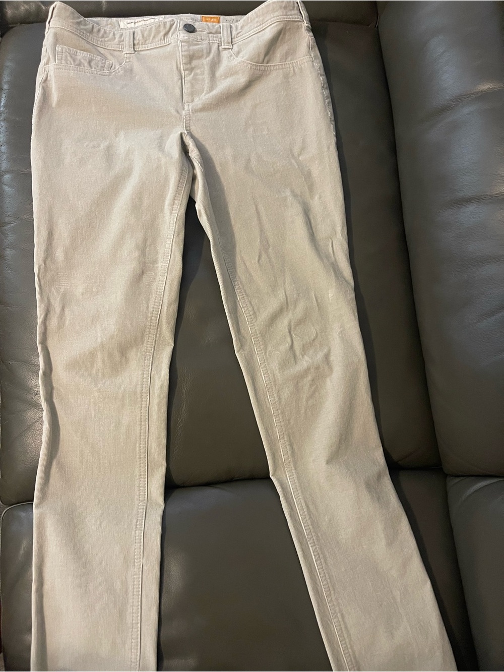Women's Pilcro and the Letterpress Classic light grey Slim Pants